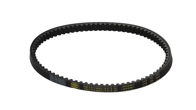 KAYIŞ (BAYBERRY125)